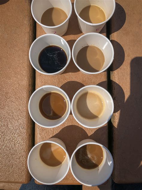 Iced coffee tasting. Things To Know About Iced coffee tasting. 
